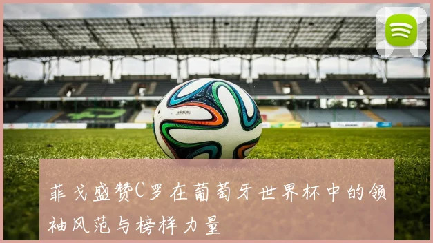 菲戈盛赞C罗在葡萄牙世界杯中的领袖风范与榜样力量